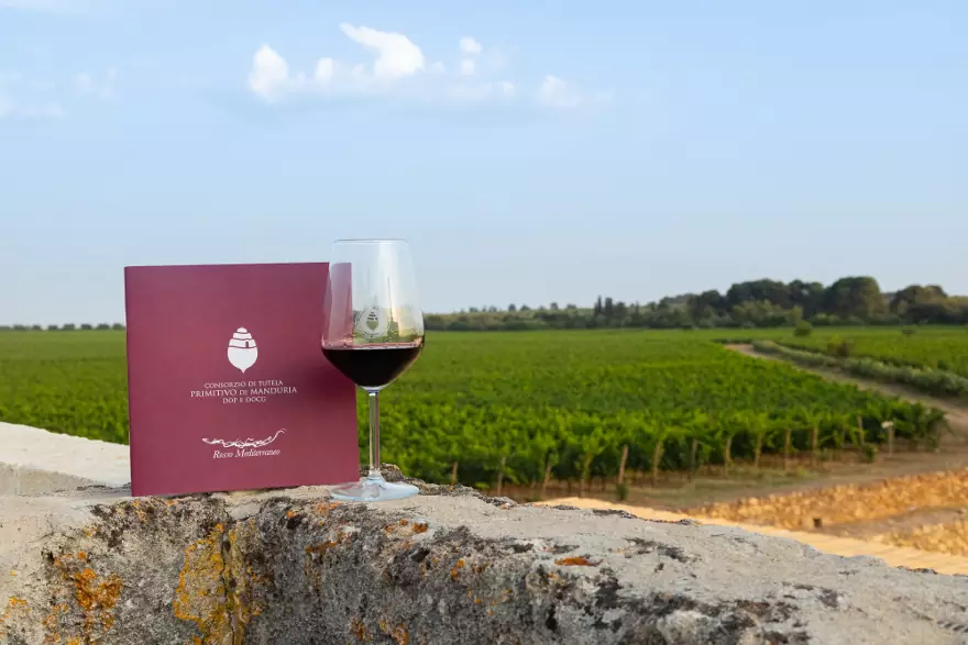Manduria wine destination, marketing territoriale per il vino Primitivo.